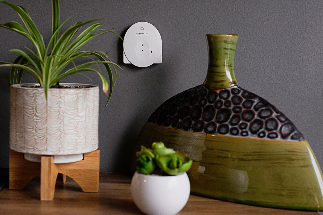 myHABITAT Senses - DUO
